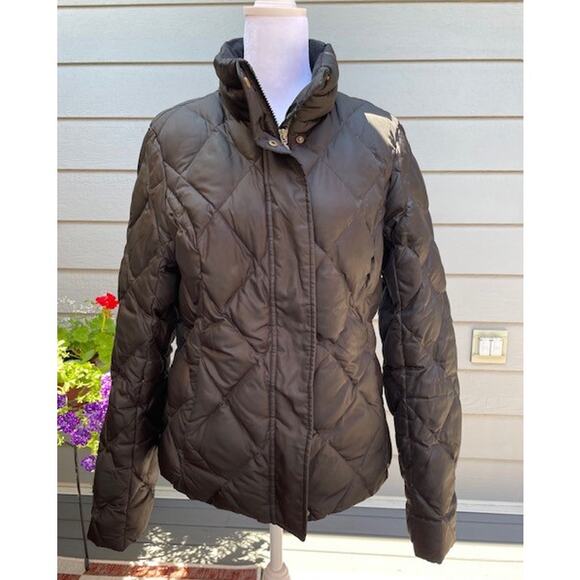 Eddie‎ Bauer Premium Goose Women's Black Coat Jacket Size Medium - Picture 1 of 3